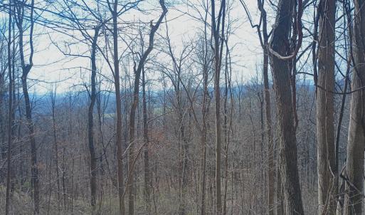 Photo #7 of 1215 Battery Hill Lane, Tyro, VA 37.1 acres