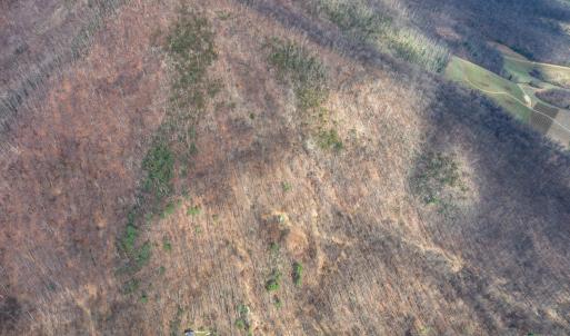 Photo #43 of 1215 Battery Hill Lane, Tyro, VA 37.1 acres