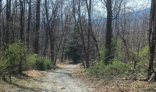Photo #41 of 1215 Battery Hill Lane, Tyro, VA 37.1 acres