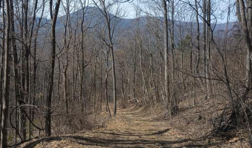 Photo #8 of 1215 Battery Hill Lane, Tyro, VA 37.1 acres