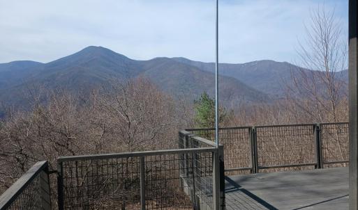 Photo #14 of 1215 Battery Hill Lane, Tyro, VA 37.1 acres