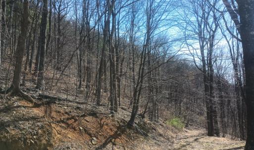 Photo #39 of 1215 Battery Hill Lane, Tyro, VA 37.1 acres
