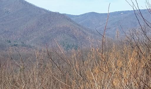 Photo #17 of 1215 Battery Hill Lane, Tyro, VA 37.1 acres