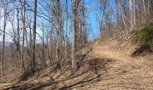 Photo #9 of 1215 Battery Hill Lane, Tyro, VA 37.1 acres