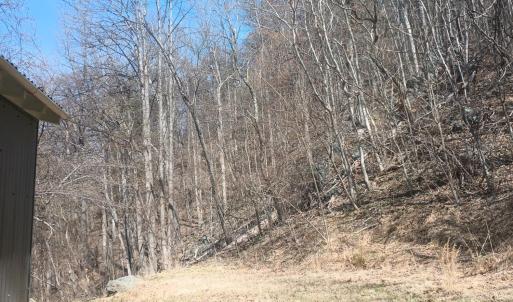 Photo #22 of 1215 Battery Hill Lane, Tyro, VA 37.1 acres
