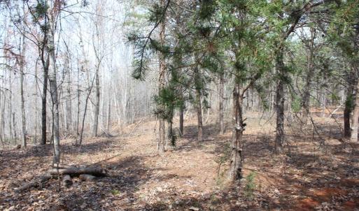 Photo #1 of Summerset Road, Gretna, VA 26.9 acres