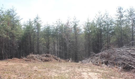 Photo #10 of Summerset Road, Gretna, VA 26.9 acres