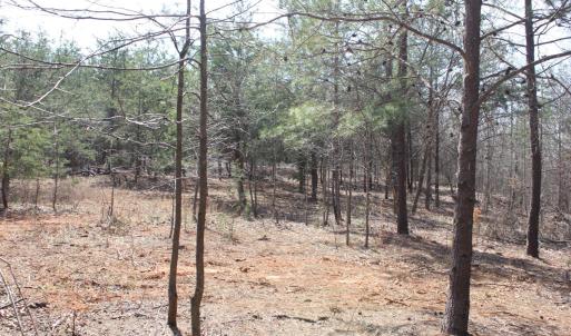 Photo #19 of Summerset Road, Gretna, VA 26.9 acres