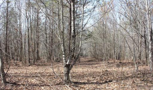 Photo #4 of Summerset Road, Gretna, VA 26.9 acres