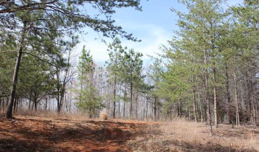 Photo #20 of Summerset Road, Gretna, VA 26.9 acres