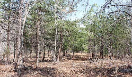 Photo #15 of Summerset Road, Gretna, VA 26.9 acres