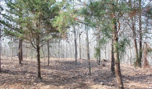 Photo #2 of Summerset Road, Gretna, VA 26.9 acres