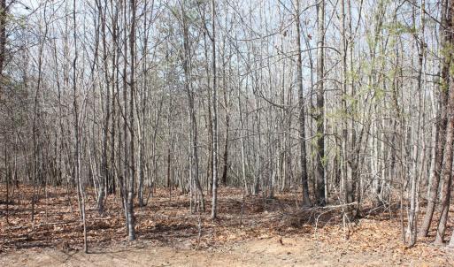 Photo #11 of Summerset Road, Gretna, VA 26.9 acres