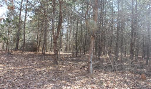 Photo #5 of Summerset Road, Gretna, VA 26.9 acres
