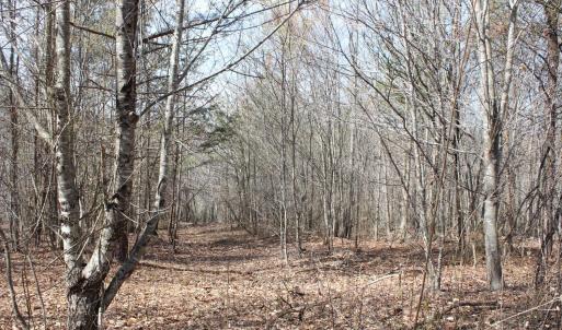 Photo #14 of Summerset Road, Gretna, VA 26.9 acres