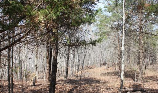Photo #17 of Summerset Road, Gretna, VA 26.9 acres