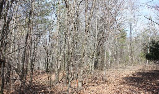 Photo #13 of Summerset Road, Gretna, VA 26.9 acres