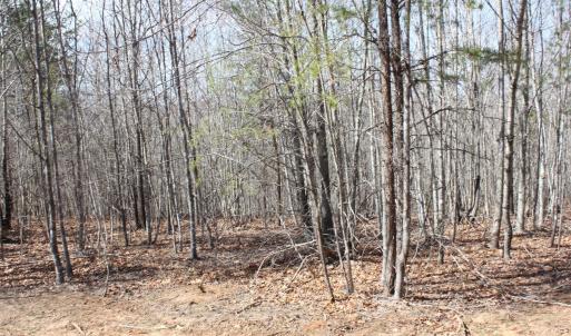Photo #9 of Summerset Road, Gretna, VA 26.9 acres