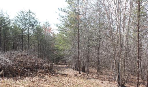 Photo #8 of Summerset Road, Gretna, VA 26.9 acres