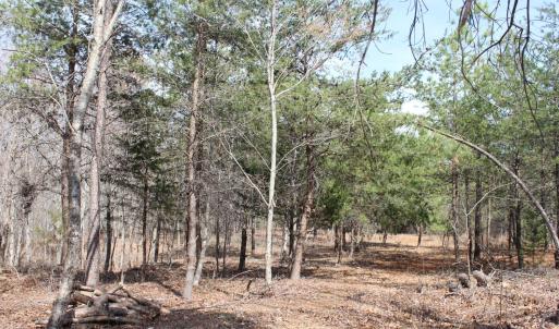 Photo #16 of Summerset Road, Gretna, VA 26.9 acres