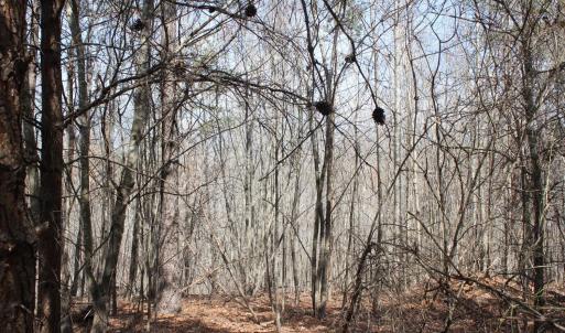 Photo #18 of Summerset Road, Gretna, VA 26.9 acres