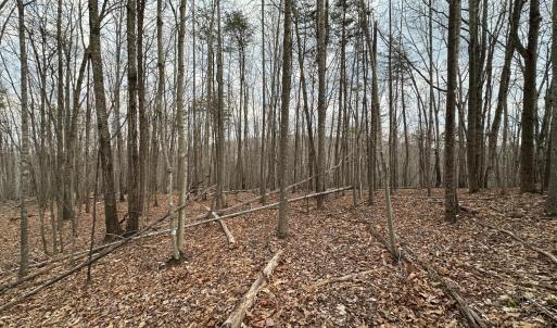 Photo #7 of Christian Mill Creek Rd Road, Amherst, VA 48.0 acres
