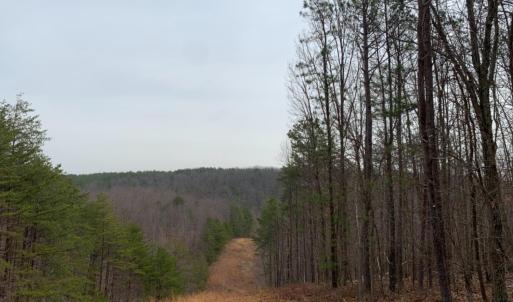 Photo #5 of Christian Mill Creek Rd Road, Amherst, VA 48.0 acres