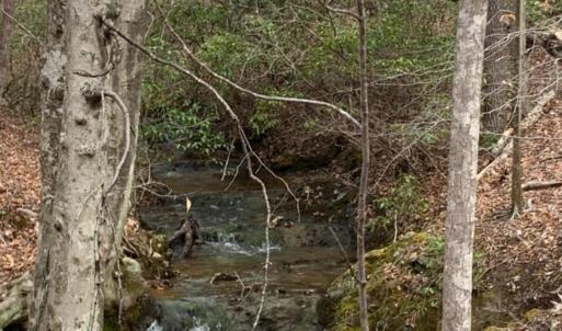 Photo #3 of Christian Mill Creek Rd Road, Amherst, VA 48.0 acres