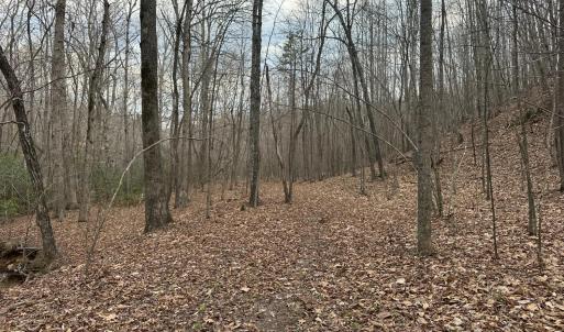 Photo #8 of Christian Mill Creek Rd Road, Amherst, VA 48.0 acres