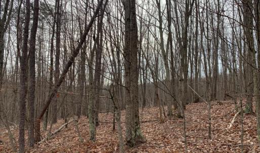Photo #1 of Christian Mill Creek Rd Road, Amherst, VA 48.0 acres