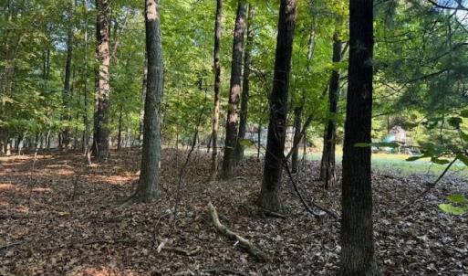 Photo #6 of 22 Woodshire Drive, Blue Ridge, VA 5.1 acres