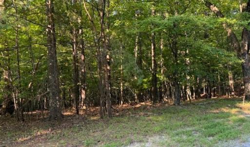Photo #1 of 22 Woodshire Drive, Blue Ridge, VA 5.1 acres
