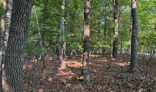 Photo #5 of 22 Woodshire Drive, Blue Ridge, VA 5.1 acres