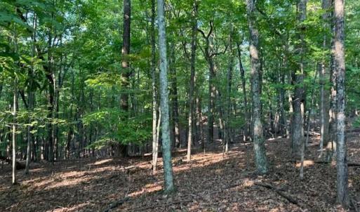 Photo #7 of 22 Woodshire Drive, Blue Ridge, VA 5.1 acres