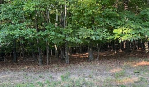 Photo #3 of 22 Woodshire Drive, Blue Ridge, VA 5.1 acres