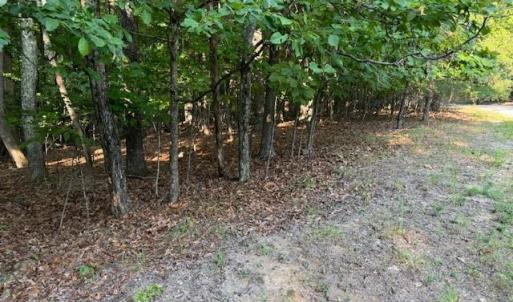 Photo #8 of 22 Woodshire Drive, Blue Ridge, VA 5.1 acres