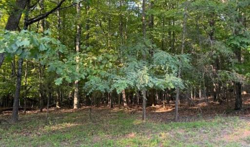 Photo #4 of 22 Woodshire Drive, Blue Ridge, VA 5.1 acres