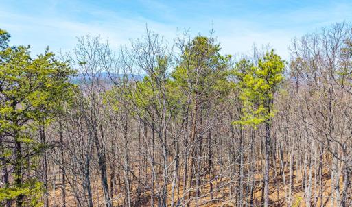 Photo #29 of Larkin Mountain, Amherst, VA 20.4 acres