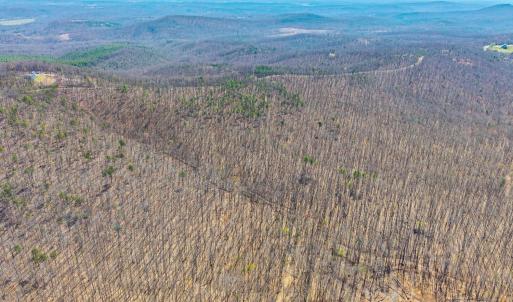 Photo #16 of Larkin Mountain, Amherst, VA 20.4 acres