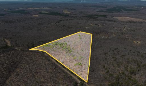 Photo #3 of Larkin Mountain, Amherst, VA 20.4 acres