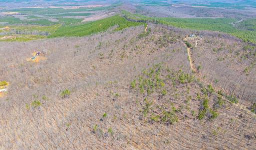 Photo #26 of Larkin Mountain, Amherst, VA 20.4 acres