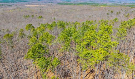 Photo #32 of Larkin Mountain, Amherst, VA 20.4 acres