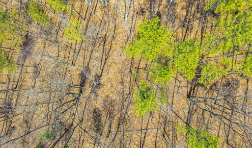 Photo #34 of Larkin Mountain, Amherst, VA 20.4 acres