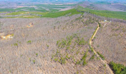 Photo #25 of Larkin Mountain, Amherst, VA 20.4 acres