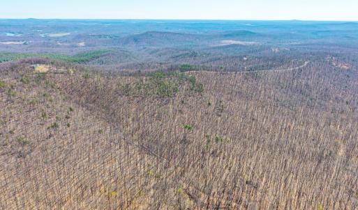 Photo #15 of Larkin Mountain, Amherst, VA 20.4 acres