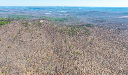 Photo #14 of Larkin Mountain, Amherst, VA 20.4 acres