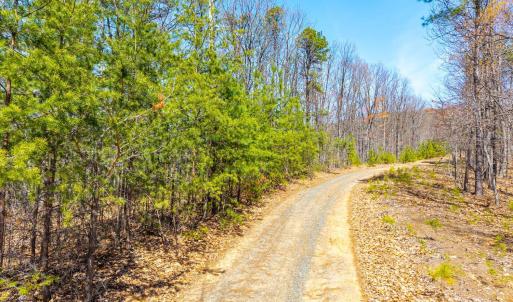 Photo #27 of Larkin Mountain, Amherst, VA 20.4 acres