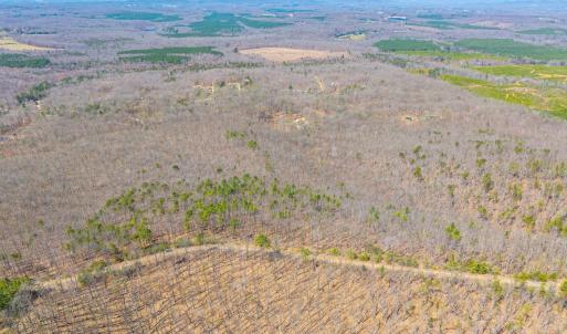 Photo #22 of Larkin Mountain, Amherst, VA 20.4 acres