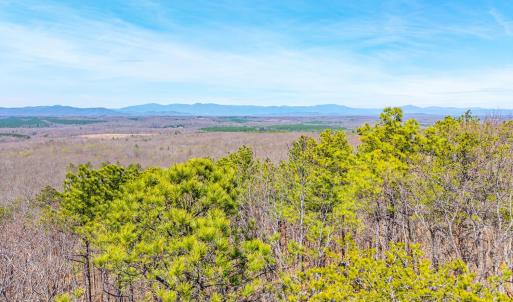 Photo #30 of Larkin Mountain, Amherst, VA 20.4 acres