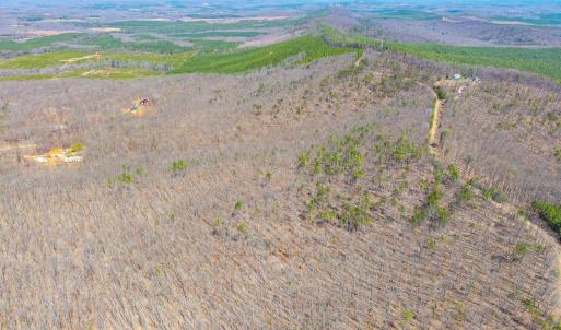 Photo #6 of Larkin Mountain, Amherst, VA 20.4 acres